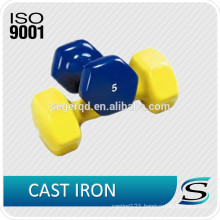 5kg dumbbell made of cast iron